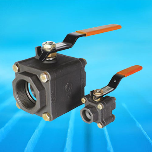 Socket-Welding Valves Manufacturer serving Kolkata